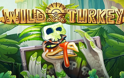 Wild Turkey